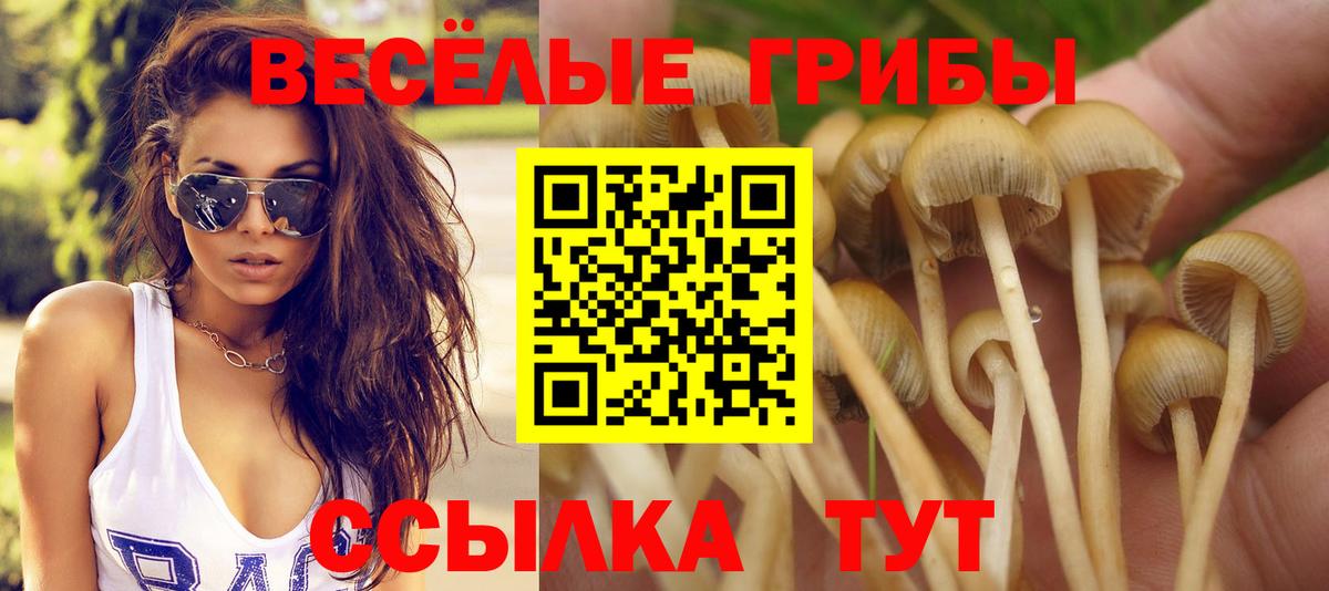 Керчь  где купить наркоту  Галлюциногенные грибы ЛСД  Вход с VPN  Псилоцибиновые грибы ЛСД 