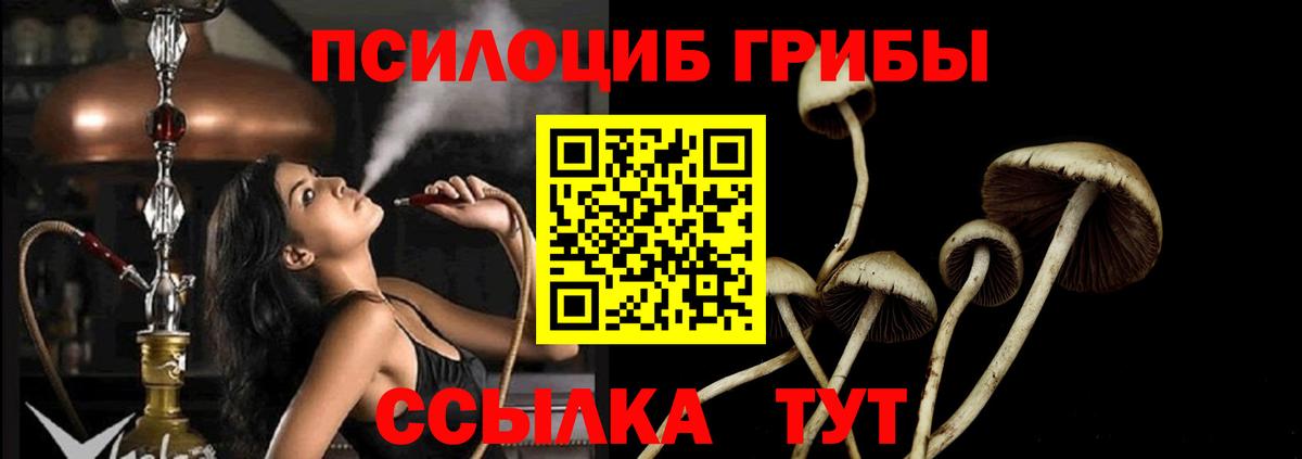 Галлюциногенные грибы мухоморы Керчь